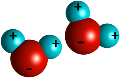 Two water molecules